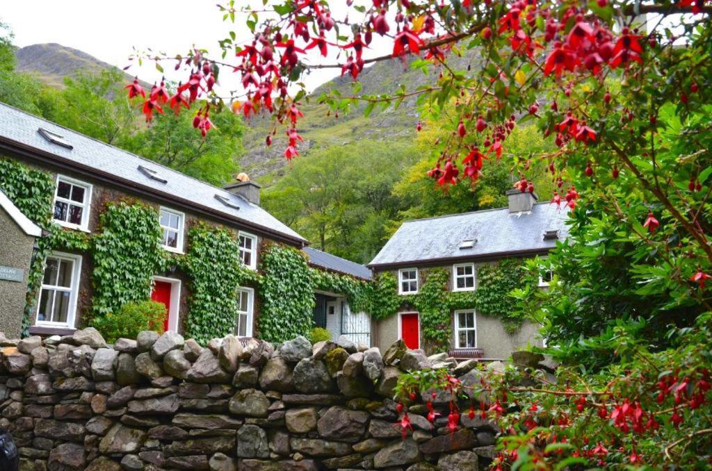 Delphi Lodge Cottages 里南 外观 照片