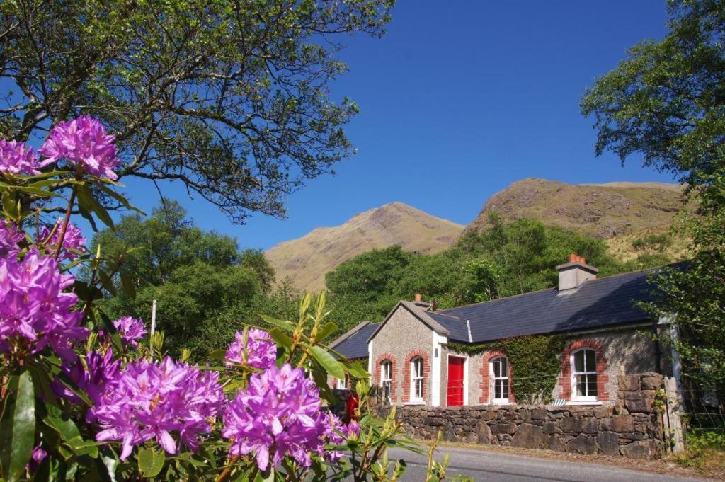 Delphi Lodge Cottages 里南 外观 照片